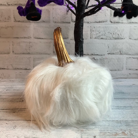 White Furry Pumpkin - Picture 3 of 6